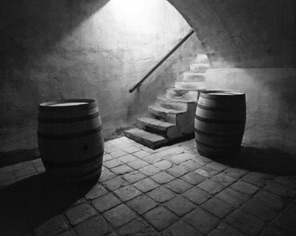 the cellar.jpg